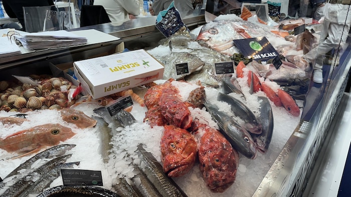 Des poissons dans un étalage à Barcelone.