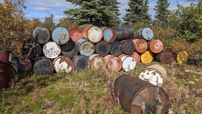 A Stack Of Barrels On The Grass.