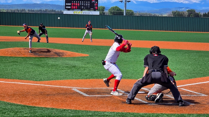 The Dub Baseball Bat | USSSA | -5 Drop | 2 3/4 Barrel