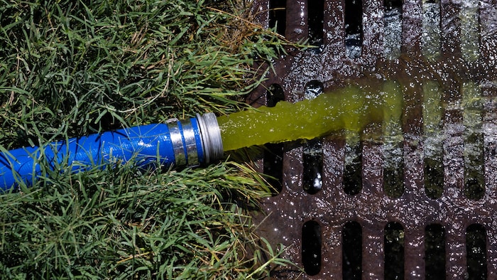 Une eau verte pompée dans le bassin sort d'un tuyau.