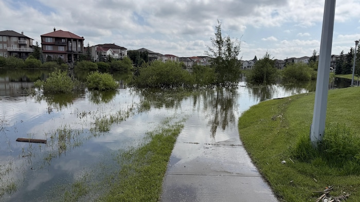 Un sentier asphalté est englouti en partie par l'eau, avec des maisons autour de l'étendue d'eau.