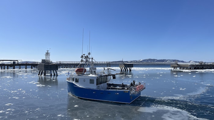 Un bateau de pêche bleu et blanc navigue sur une eau parsemée de glaces près d'une structure portuaire industrielle.