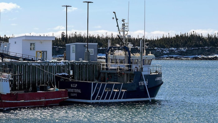 Un bateau de pêche est accosté à quai.