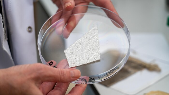 Un morceau de fibre de verre dans un laboratoire.