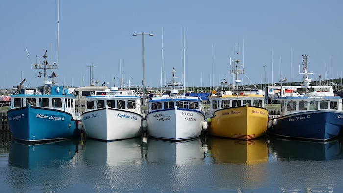 Des bateaux, de face, alignés au quai de Grande-Entrée.