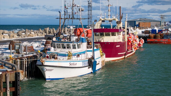 Des bateaux au quai de Rivière-au-Renard, à Gaspé.