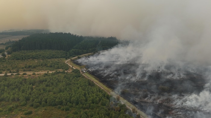 Cette photographie aérienne montre un incendie de forêt qui fait rage dans la réserve naturelle des Hautes Fagnes, à Waimes, le 15 août 2026.