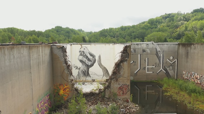 Les ruines de la Belgo, un terrain de jeux où s’amuser n’est pas sans ...