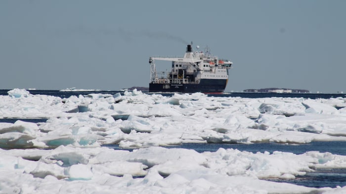 Le navire Bella Desgagnés tente de se frayer un passage à travers les glaces.