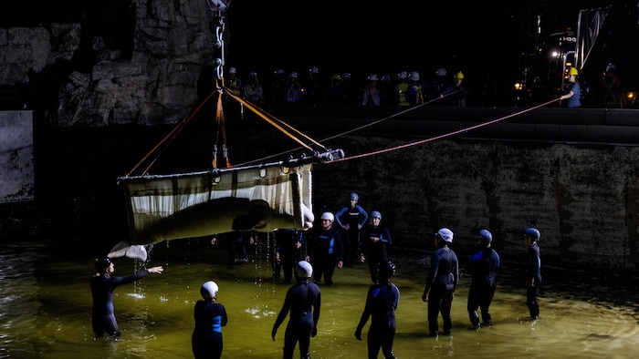 Un béluga est hissé hors de son bassin pendant la nuit à l'aide d'une élingue par une équipe d'experts de Marineland. Le bassin est vidé de son eau.