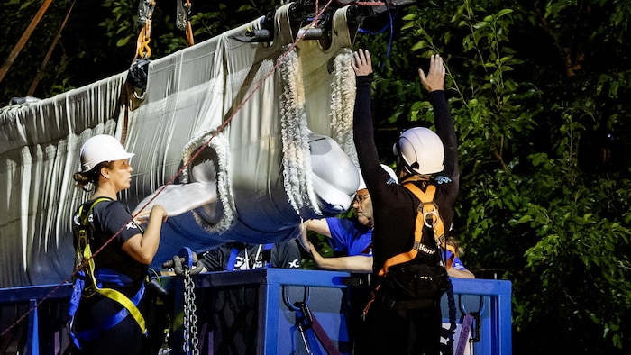 Un béluga est chargés dans la nuit dans un camion à l'aide d'une élingue par une équipe d'experts de Marineland
