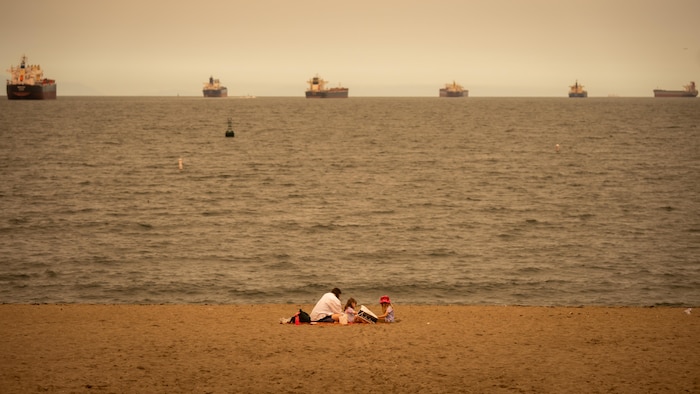 Une personne et deux enfants sont assis sur une plage de la baie English.