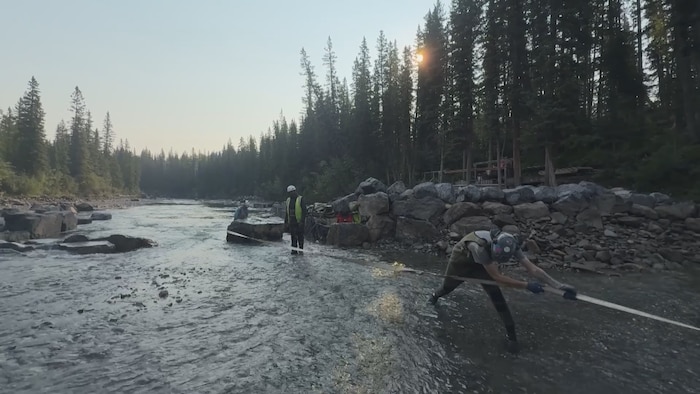 Un homme tire sur une corde dans une rivière.
