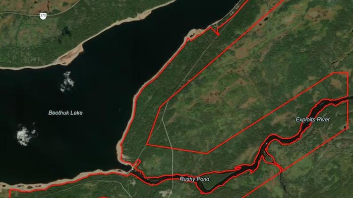 Une carte illustrant la zone proposée pour la réserve naturelle du lac Beothuk.
