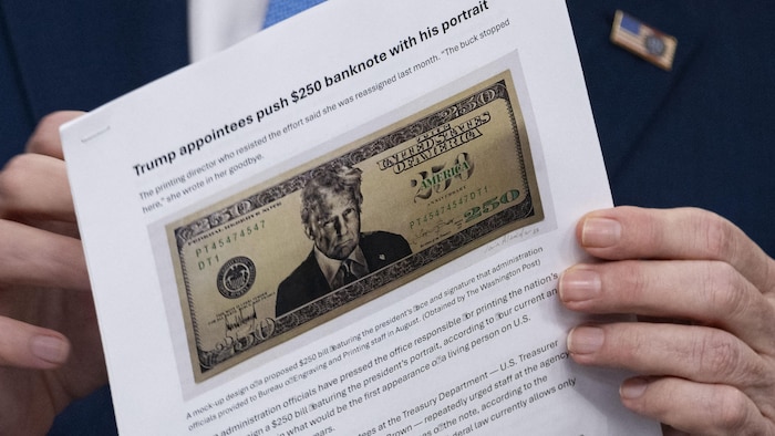 Plan rapproché d'un article qui montre une maquette d'un billet de 250 $ portant le visage de Donald Trump.