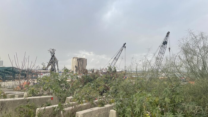 Les silos du port de Beyrouth.