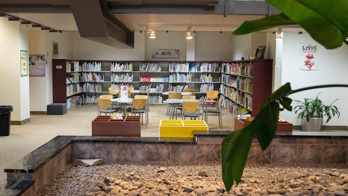 LES 10 MEILLEURES Bibliothèques à Québec (avec photos)