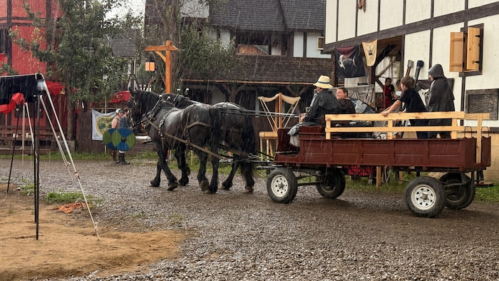 Une calèche sur un site médiéval. 