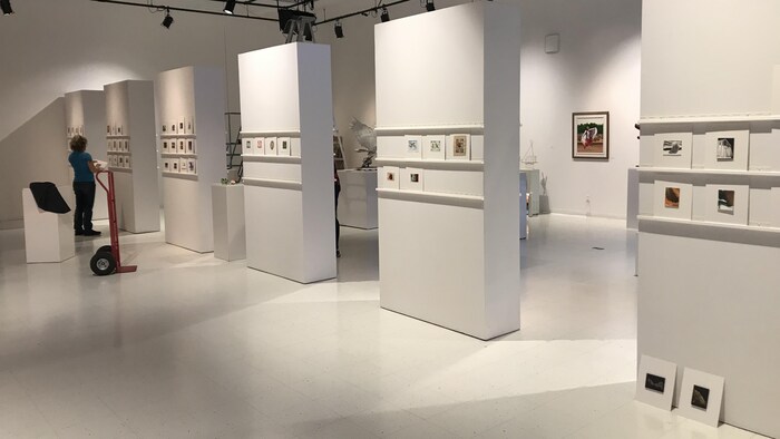 Une salle d'exposition avec des peinture miniatures sur des panneaux.