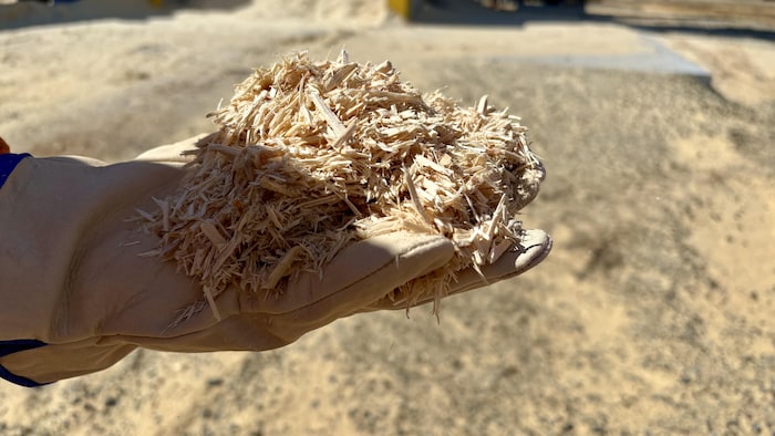 Un employé tient, dans ses mains, des résidus de bois.