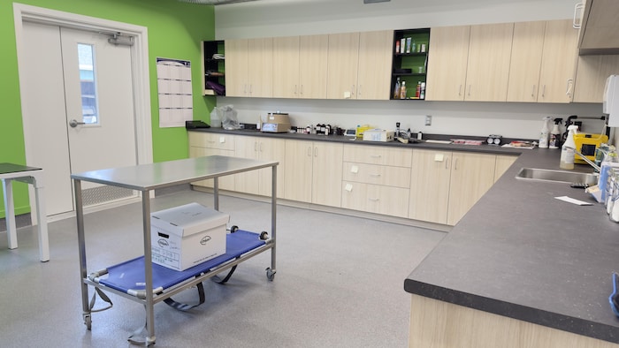 Une salle avec une table de vétérinaire.