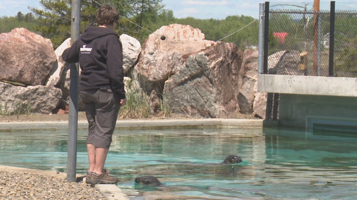 Vaste plan d’optimisation des infrastructures au Bioparc de Bonaventure ...