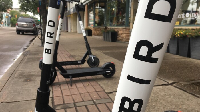 Des trottinettes électriques de l'entreprise Bird sur un trottoir.