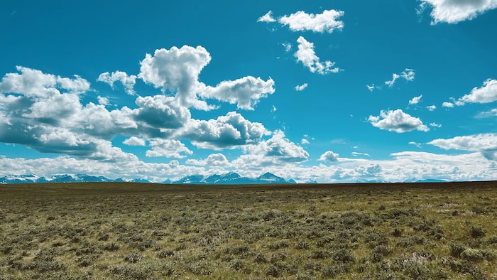 Une immense plaine avec des montagnes au fond. 