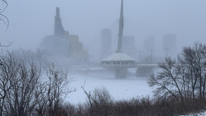 Un blizzard à Winnipeg le 17 janvier 2025.