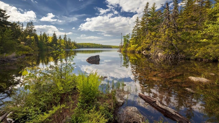 Un terrain extérieur de Blue Mountain Birch Cove Lakes