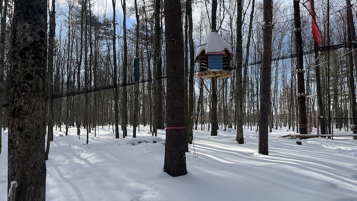 Un parcours prend place dans les arbres, dans la forêt enneigée.