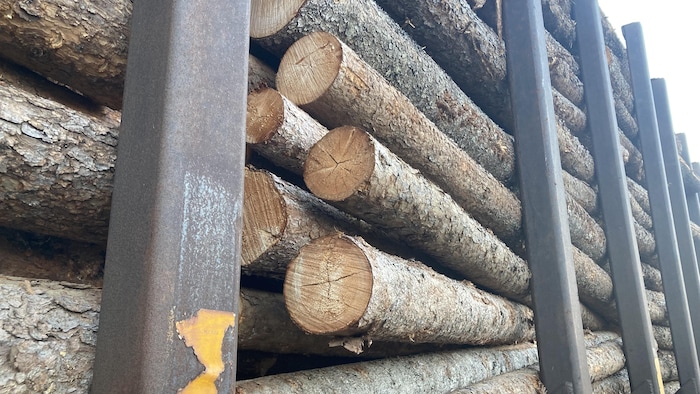 Des billots empilés sur un wagon.
