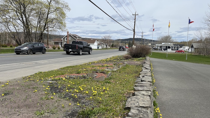Voitures circulant sur une route avec une platebande avec pissenlits en avant-plan.