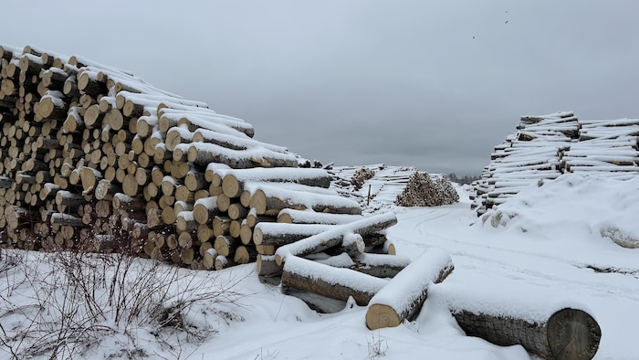 Du bois dans la cour de la scierie Rosario Poirier, à Saint-Alphonse