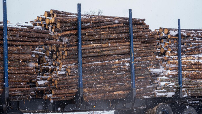 Un chargement de bois à la scierie Arbec de Parent.