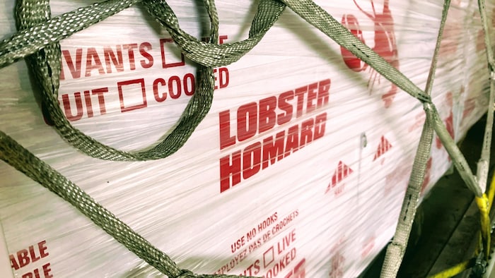 Boîte de homard.