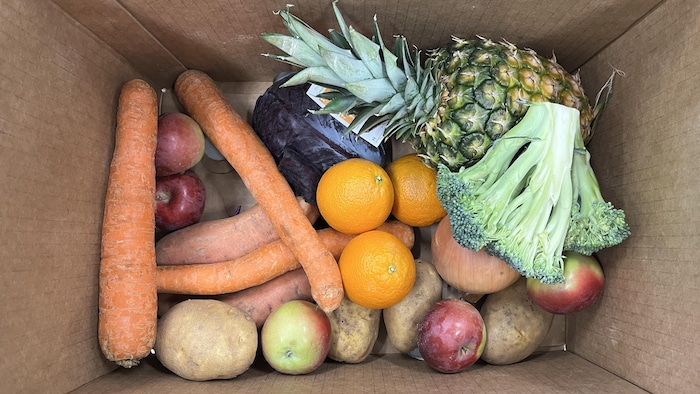 Une boite de carton dans lequel se trouve un ananas, un brocoli, un chou rouge, ainsi que des clémentines, oignons, carottes, pommes et patates. 