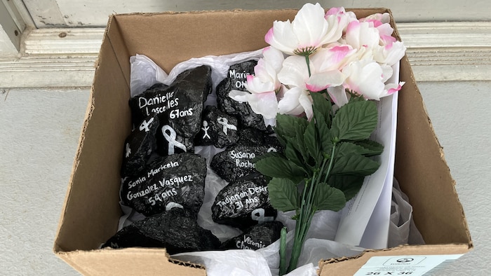 Une boîte posée au sol contient des roches peintes avec les noms de victimes de féminicides et un bouquet de fleurs en plastique. 