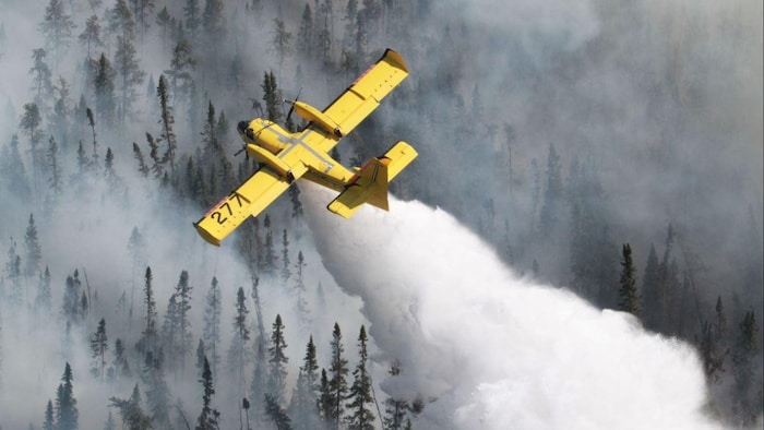 Un avion citerne arrose un feu de forêt.