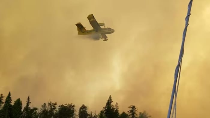 Un bombardier à eau éteint un feu de forêt.