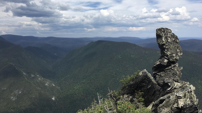 Vue sur le Bonhomme du mont Nicol-Albert, dans la Réserve faunique Matane.