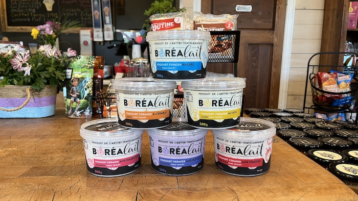 Six contenants de yogourt empilés en pyramide sur le comptoir de la boutique de Boréalait.