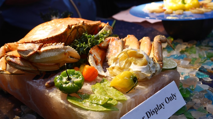Un crabe sur une plaque de sel.