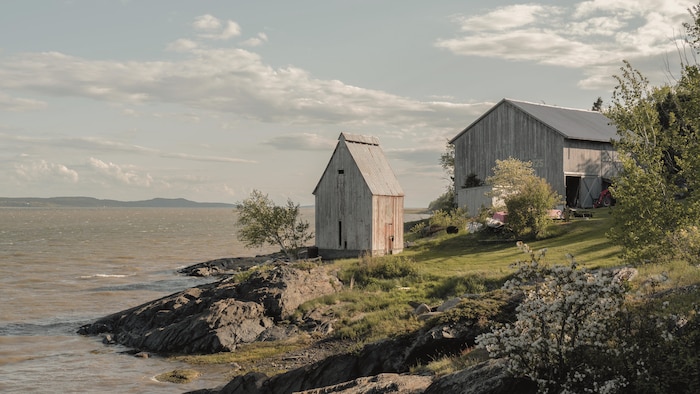 Une boucanerie sur une île.