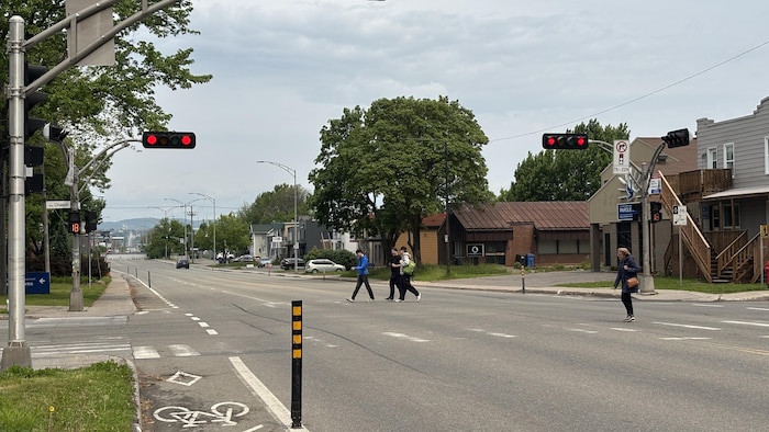 Une scène de rue sur le boulevard Pierre-Bertrand, montrant un large boulevard avec des feux de circulation rouges actifs. Plusieurs piétons traversent la rue sur un passage clouté. Des maisons et des bâtiments commerciaux bordent les côtés de la rue, avec des arbres et de la végétation au loin sous un ciel nuageux. 