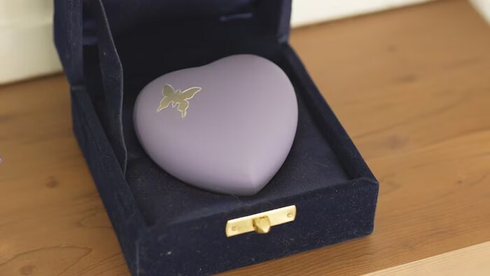 Une petite urne mauve pâle en forme de cœur décorée d'un papillon repose dans un écrin.