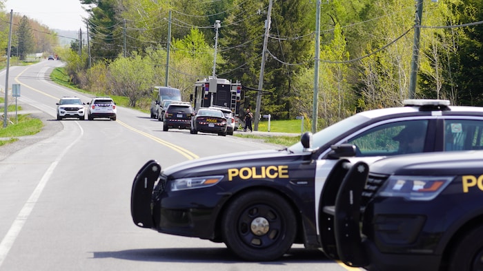 Plusieurs voitures de police.