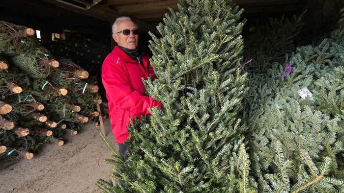Brad Clements montre un arbre de Noël dans sa grange.