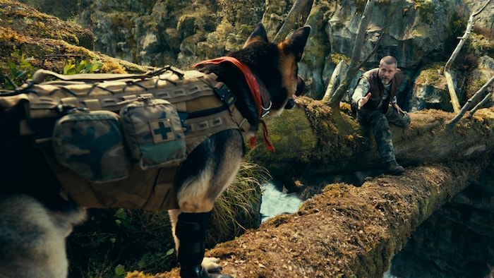 Un homme traverse une rivière avec un chien.