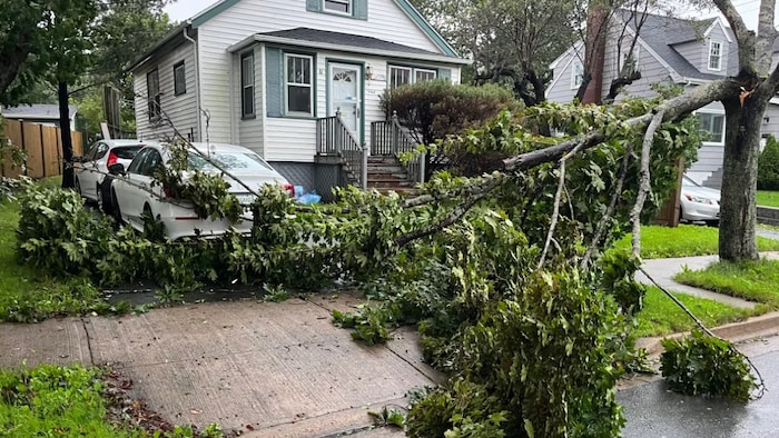 Une branche cassée sur la rue Mumford, à Halifax, après le passage de la tempête Lee.